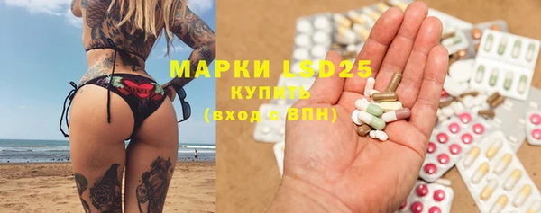 мяу мяу мука Аркадак